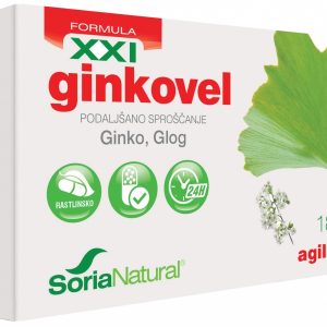 GINKOVEL ŠKATLICA
