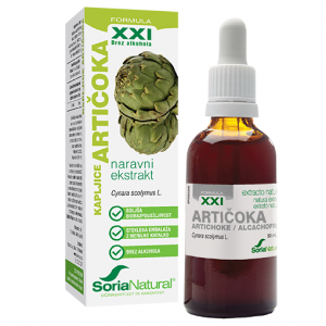 ARTIČOKA