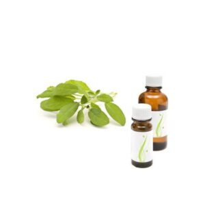 zajbelj salvia officinalis