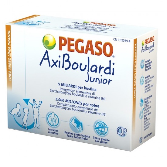 AxiBoulardi Junior Pegaso 14 vreck