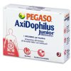 AxiDophilus Junior Pegaso 14 vreck